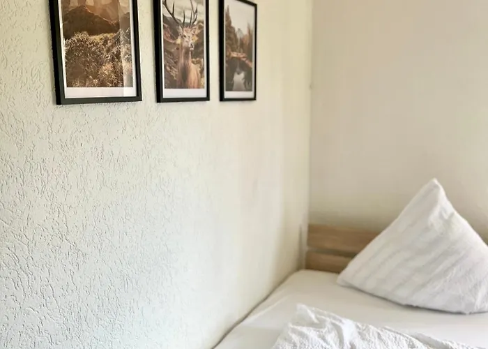 Апартаменты Gemuetliche In I Sauna I Balkon I Blick Silberberg Боденмайс